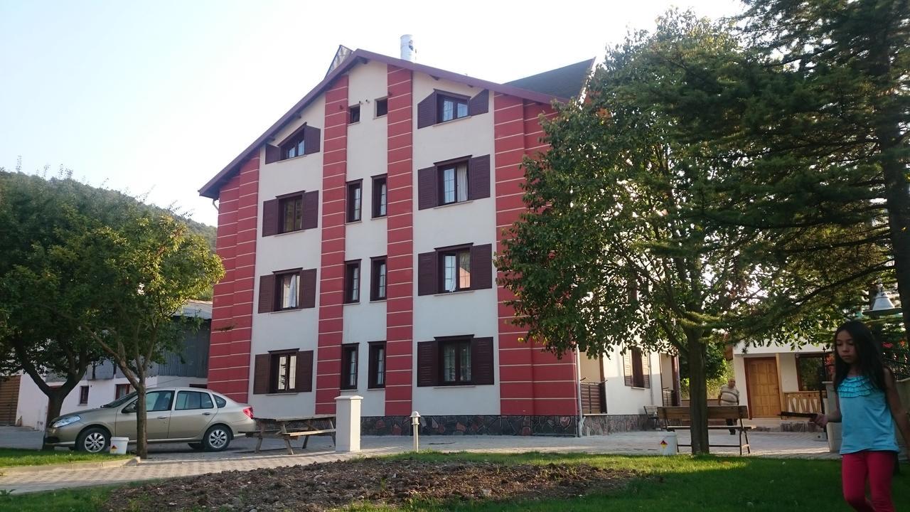 Mekan Ilica Apart Otel Karacasu Kültér fotó